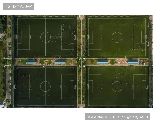 青训—高校合作项目扩大招生与训练规模