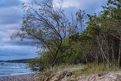 Alfa Romeo的隐形实力：未来有望成黑马，alfa romeo 2000 spider veloce